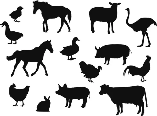 Conjunto Siluetas Negras Diferentes Tipos Animales Ilustración Vectorial — Vector de stock