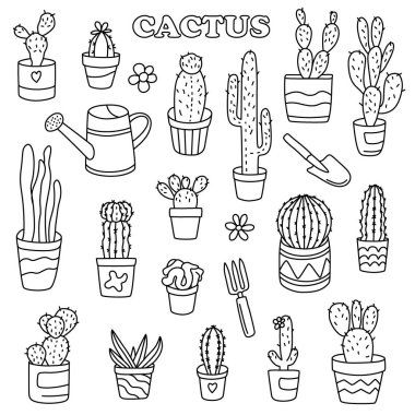 Erkek matador siluet paketi seti