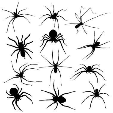 Farklı pozlarda örümcek silueti