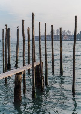 Wooden dock poles in the lagoon of Venice, Italy