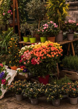colorful flowers in a flower kiosk in Italy
