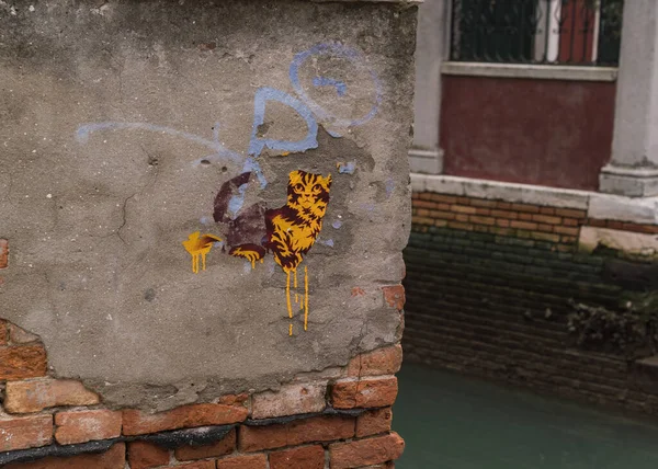 Cat graffiti sticker on a wall in Venice, Italy