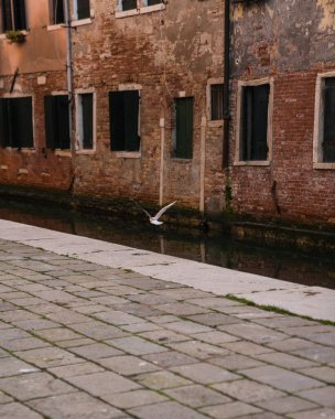 Venedik, İtalya 'da kanal geleneksel mimariyi gösteriyor, tekneler kenetlendi ve martılar uçuyor.