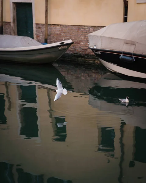 ヴェネツィアの運河 イタリアの伝統的な建築 ボートがドッキングし カモメが飛んで表示されます — ストック写真