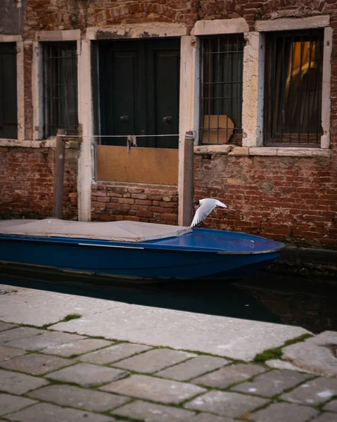 Canal Venecia Italia Mostrando Arquitectura Tradicional Barcos Atracados Gaviotas Volando — Foto de Stock