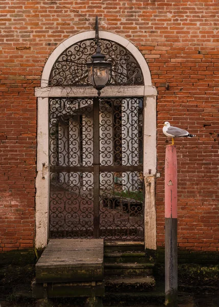 ヴェネツィア イタリア およびカモメの建物の魅力的なレンガ造りのファサードは 木製のポールに休んで — ストック写真