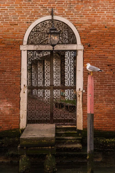 Fachada Tijolo Encantadora Edifício Veneza Itália Gaivota Descansando Poste Madeira — Fotografia de Stock