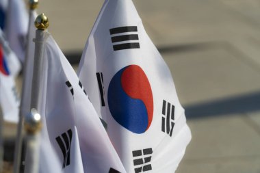 republic of korea national flag
