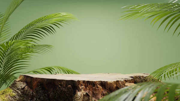 自然の概念とスタンドとしての木の幹と表彰台の背景 3Dレンダリング — ストック写真