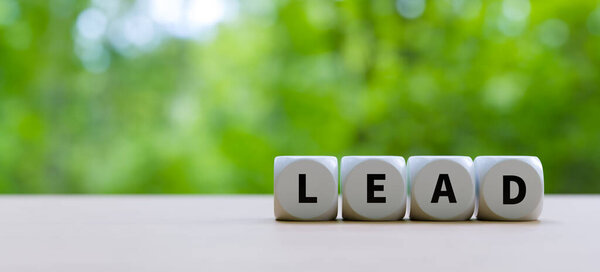 Блок белых букв с надписью "Lead", 3D рендеринг