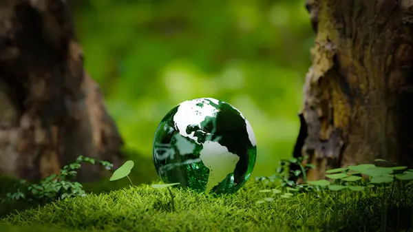 Small Earth in Forest with concept of sustainability and zero carbon, 3d rendering