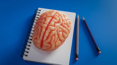 Beyin hafızasının gelişimiyle ilgili kavram arkaplanı, 3 boyutlu görüntüleme