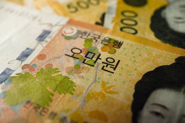 50000 Korean Won Bill Macro - South Korea money