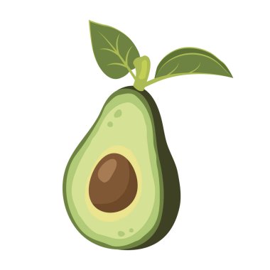 Yapraklı yarım avokado, çukur ve et. Olgun taze avokado meyvesi. Sağlıklı vejetaryen organik yiyecekler. Sağlıklı yaşam tarzı ve iyi beslenme için vektör çizimi