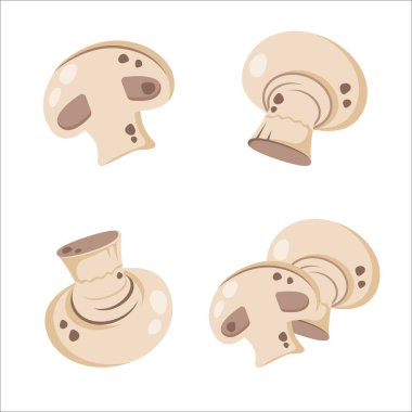 Taze olgun mantar seti. Şampiyon beyaz arka planda izole edildi. Tam beyaz mantar ve dilimlenmiş mantar. Sağlıklı organik yiyecekler. Doğal çiğ sebze. Vektör düz resimleme