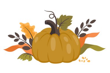 Olgun balkabağı ve dökülen yapraklar. Sonbahar harwest. Doğa sebzeleri, sağlıklı organik, çiftlik yemekleri. Sonbahar tasarımı için vektör çizimi, iyi beslenme, tarım hasadı, Şükran Günü