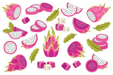 Beyaz arka planda izole edilmiş bir grup ejderha meyvesi. Peel şeklinde taze egzotik Pitahaya, daireler şeklinde kesilmiş, küçük küp ve dilimler. Tatlı tropikal pitaya meyvesi. Vektör illüstrasyonu