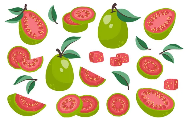 Set Van Guava Geïsoleerd Witte Achtergrond Verse Exotische Vruchten Schil Vectorbeelden