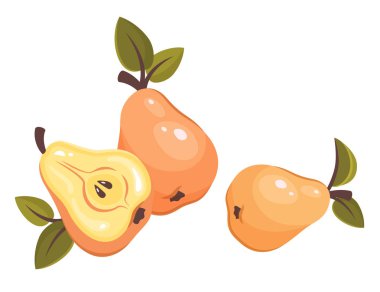 Armutun yarısı ve tamamı beyaz arka planda izole. Yapraklı taze meyve. Organik vitaminler. Sağlıklı besin. Sağlıklı yaşam tarzı ve iyi beslenme için vektör çizimi