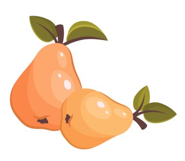 Juice Pears beyaz arka planda izole edilmiş. Yapraklı taze meyve. Armut üst manzara. Sağlıklı vejetaryen organik yiyecekler. Sağlıklı yaşam tarzı ve iyi beslenme için vektör çizimi