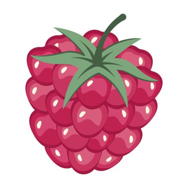 Beyaz arka planda izole edilmiş taze kırmızı ahududu. Meyve çıkartması. Ahududu deseni. Meyve suyunu yakından çek. Taze meyveli üst manzara. Organik yiyecekler. Vektör illüstrasyonu