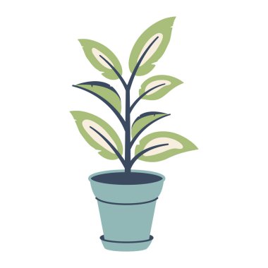 Yeşil yapraklı saksı çiçeği. Çiçek saksısı ikonu. Renkli saksıda bir ev bitkisi. Saksı beyaz arka planda izole edilmiş. Vektör illüstrasyonu