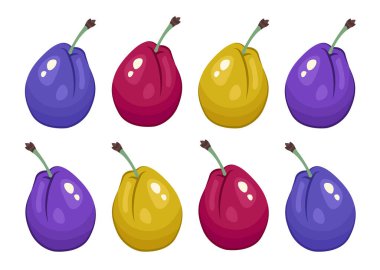 Bir çift erik yalıtılmış. Kırmızı, sarı, mavi ve mor erikler yaklaşın. Renkli Taze Lezzetli Eko ürünü. Meyve ikonu. Tatlı, sağlıklı vitamin. Paketleme, yazdırma, organik gıda, clipart için vektör illüstrasyonu