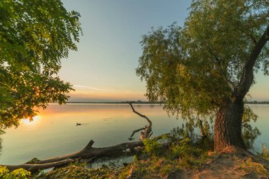 Nehirde bir ördekle gün doğumu