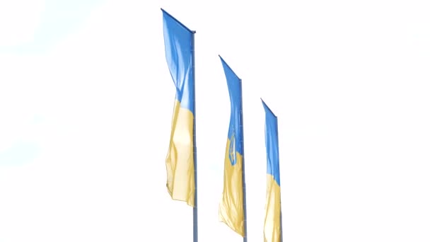三面乌克兰国旗迎风飘扬 与蓝色晴朗的天空相映成趣 乌克兰的黄色蓝色旗帜在外面的天空背景上随风飘扬 靠近点国家象征 乌克兰织物纹理标志 — 图库视频影像