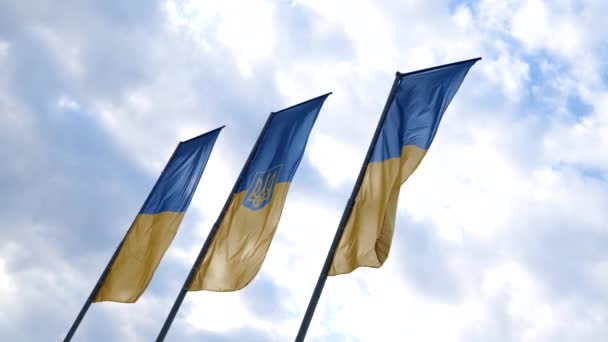 Прапор України Кадрів Три Українські Прапори Розмахують Вітром Синім Небом — стокове відео