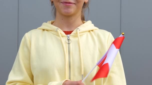 Kaukasische Junge Schweizerinnen Gelben Kapuzenpulli Schwenken Kleine Schweizer Flaggen Und — Stockvideo