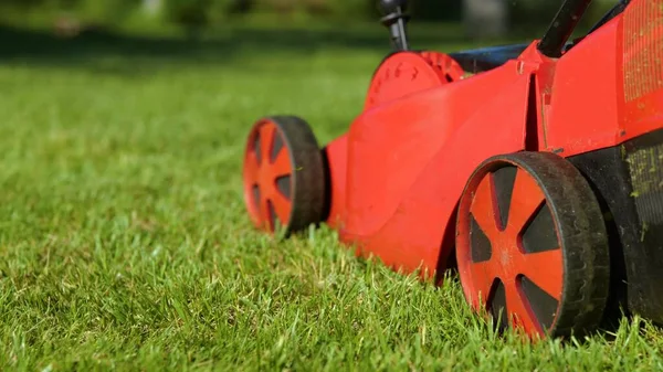 Camera Lawn Mower Mowing Lawn Courtyard Close Electric Lawn Mower — 스톡 사진
