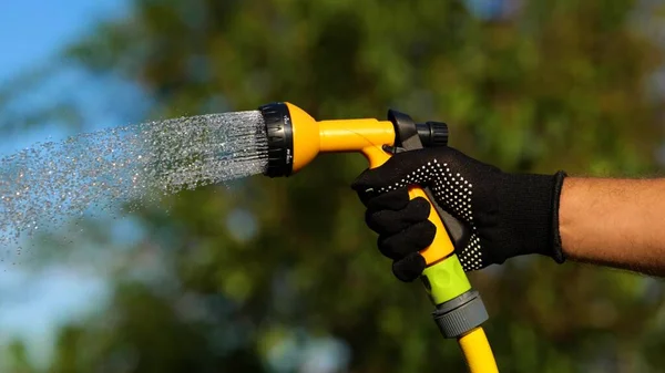 Male Hand Glove Holding Moving Hose Watering Plant Garden Sunny — 스톡 사진