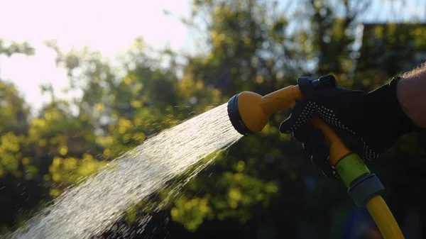 Close Male Hand Glove Holding Moving Hose While Watering Grass — 스톡 사진