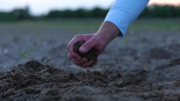 男性の手はフィールド上の土壌に触れる 農業分野の堆肥をチェックする農業学者 肥沃な土地農業生態学的概念 リアルタイム — ストック動画