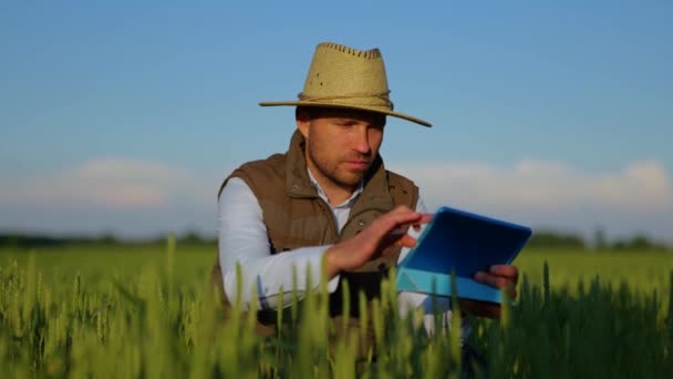 Boer Werkt Aan Digitale Tablet Onderzoekt Planten Terwijl Het Gebied — Stockvideo