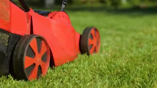 Lawnmover Πράσινο Γρασίδι Στον Κήπο Μηχανή Κοπής Γρασιδιού Σκηνοθεσία Κήπου — Αρχείο Βίντεο