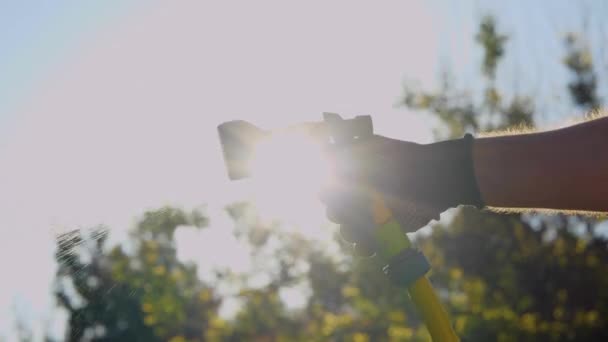 Gärtner Gießt Pflanzen Mit Einem Schlauch Freien Sonne Hintergrund Gartenarbeit — Stockvideo
