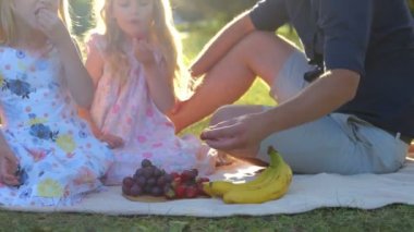 Camera moves away from Caucasian happy family with kids sitting on a blanket having picnic on summer day. Joyful parents and little children eating fruits in park. Summer weekend. Childhood concept