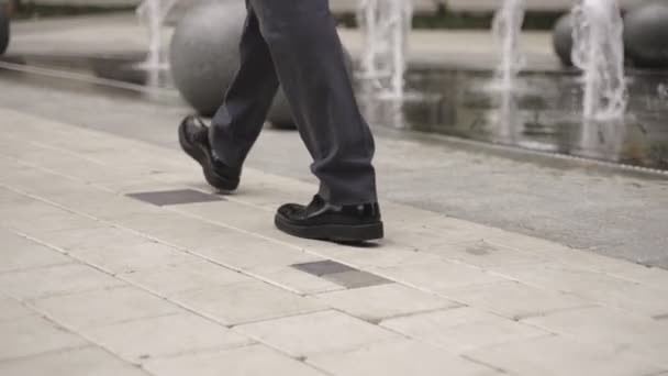 Çeşmenin Yanındaki Caddede Yürüyen Bir Işadamı Insanların Kavramı Yavaş Çekim — Stok video