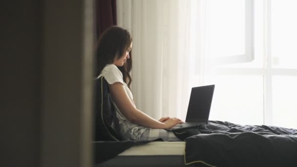Bela Senhora Digitando Laptop Enquanto Sentado Quarto Perto Uma Grande — Vídeo de Stock