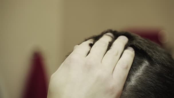 Homme Caucasien Montrant Ses Cheveux Sains Sans Pellicules Tout Touchant — Video