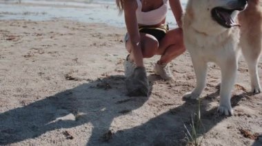 Kadın köpeğinin pisliğini temizliyor, sahilde yürürken kakasını plastik torbaya koyuyor. Hayvan bakımı konsepti. Yavaş çekim