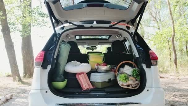 Everything You Need Picnic Trunk Car Weekend Travel Active Holidays — Stock Video