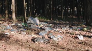 Ormandaki çöp yığını. Doğanın her yerinde zehirli plastik var. Düşen yaprakların arasındaki çöp yığını. Ekolojik bir sorun. Ekoloji ve geri dönüşüm konsepti. Yavaş çekim