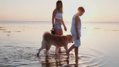 Gülümseyen güzel bayan ve çocuk gün batımında Akita Inu köpeğiyle deniz kıyısında yürüyor. Hayvan bakımı konsepti. Yavaş çekim