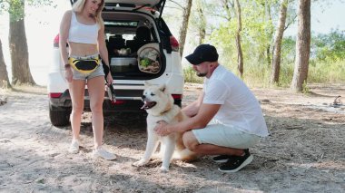 Gülümseyen adam ve kadın ve Akita Inu köpeği ormanda pikniğe geliyorlar. Aile, yaz tatili konsepti. Yavaş çekim