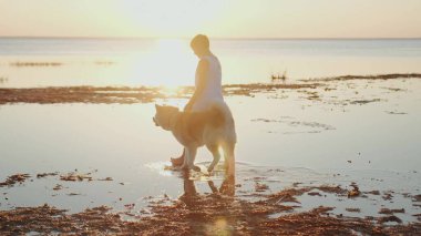 Çocuk ve Akita Inu suyun üzerinde birlikte yürüyorlar. Tasmalı bir köpek tutan çocuk. Hayvan bakımı konsepti. Yavaş çekim