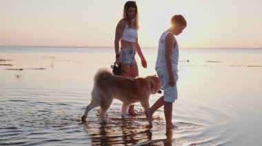 Gülümseyen güzel bayan ve çocuk gün batımında Akita Inu köpeğiyle deniz kıyısında yürüyor. Hayvan bakımı konsepti. Yavaş çekim