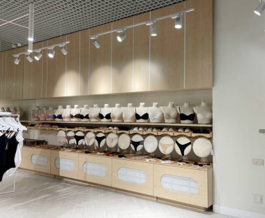 Alışveriş merkezinde satılık iç çamaşırları. Mağazada kadın iç çamaşırı. Alışveriş konsepti. Dükkanda farklı seksi sütyen ve külot. Mankenlerin üzerindeki zarif iç çamaşırları.